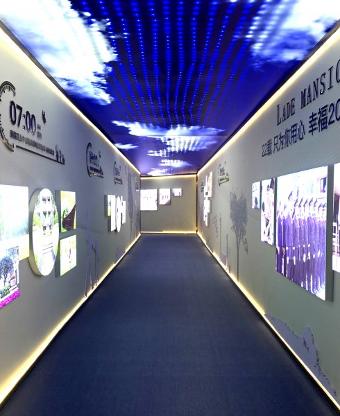 儒辰·掌舵東岸看房通道